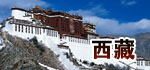 西藏代表团
